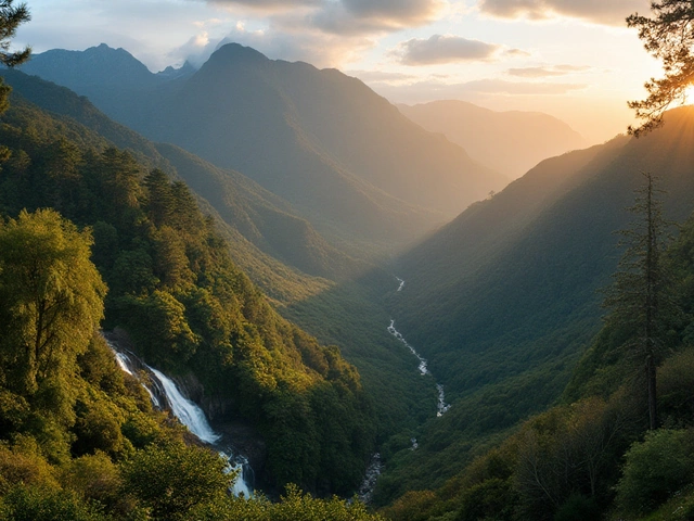 Discover Hakali: The Hidden Gem of New Zealand