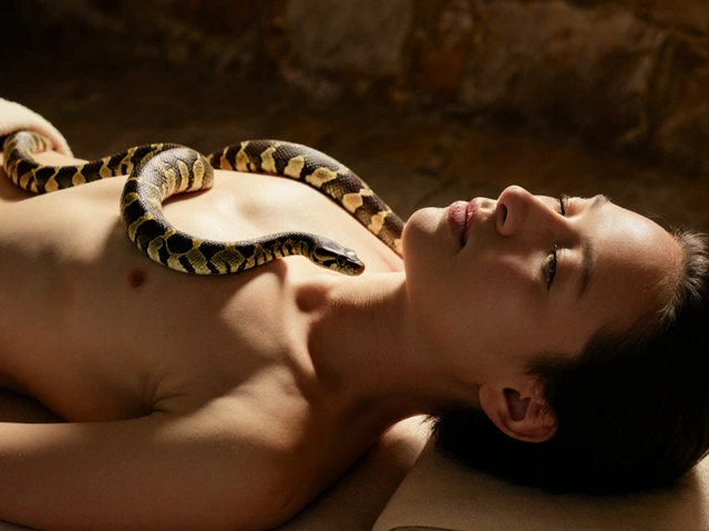 Snake Massage: What It Is, How It Works, and Why People Swear By It